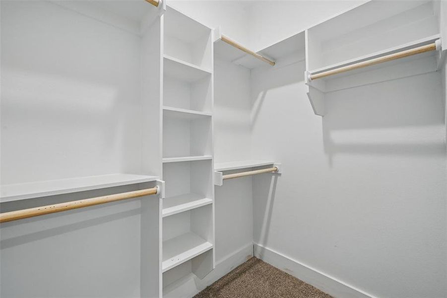Walk in closet featuring carpet