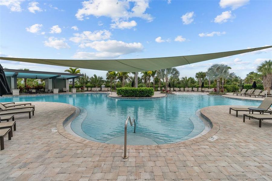 Community amenities in River Landing, Wesley Chapel (Image 35).