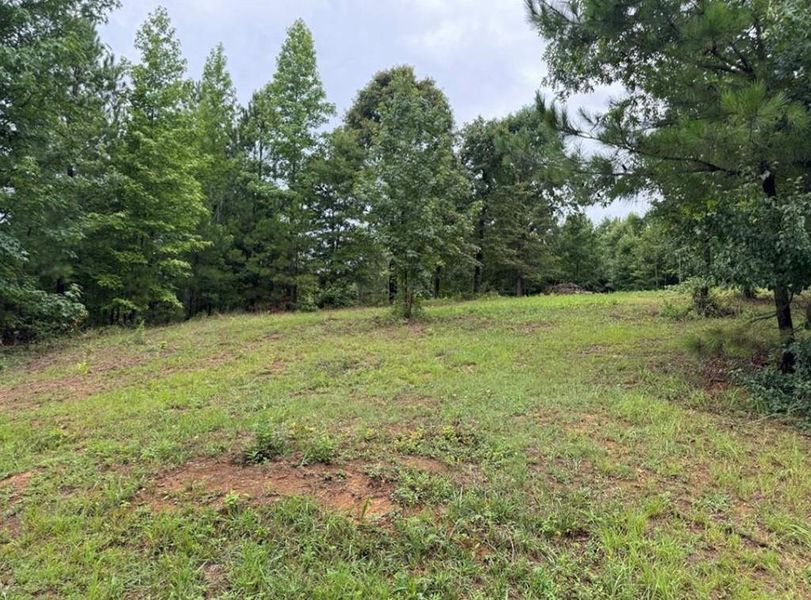 Natural landscape and outdoor views near  in White (Image 72).