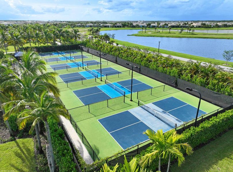 Avondale at Avenir Pickleball AAP 2024 Avondale at Avenir Pickleball AAP 2024