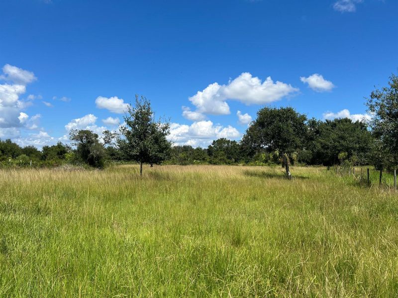 Natural landscape and outdoor views near  in Okeechobee (Image 17).