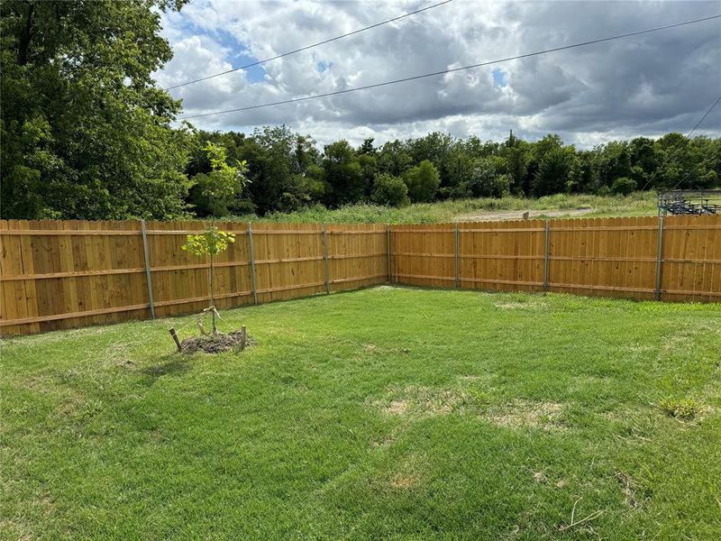 Nice open backyard for your entertainment