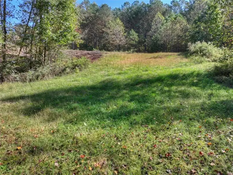 Natural landscape and outdoor views near  in Ellijay (Image 48).