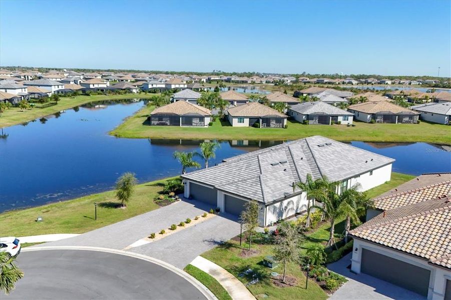 Pond Views