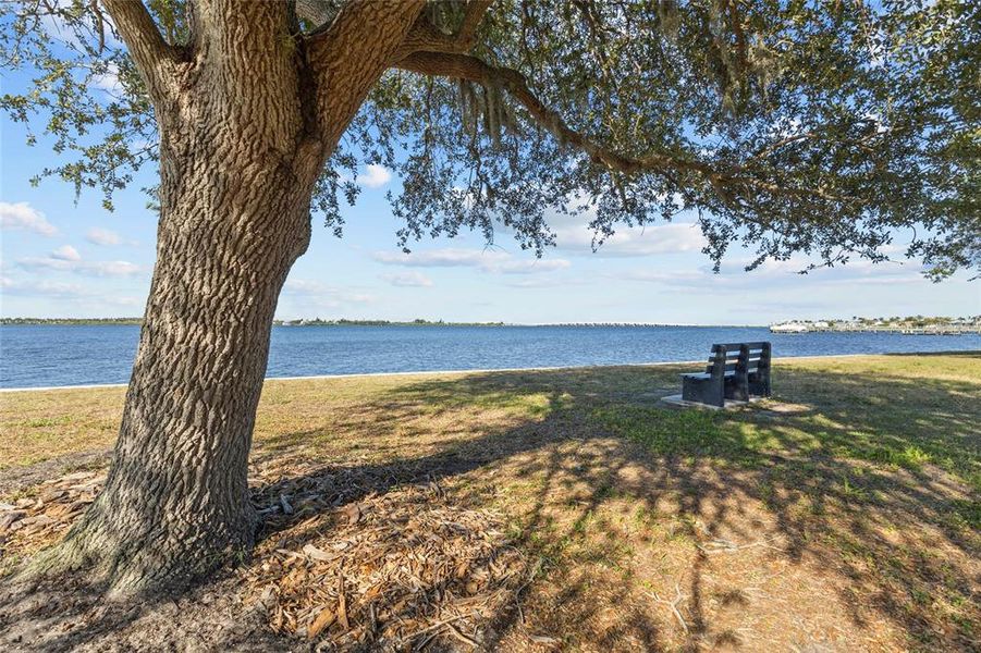Natural landscape and outdoor views near  in Port Charlotte (Image 30).
