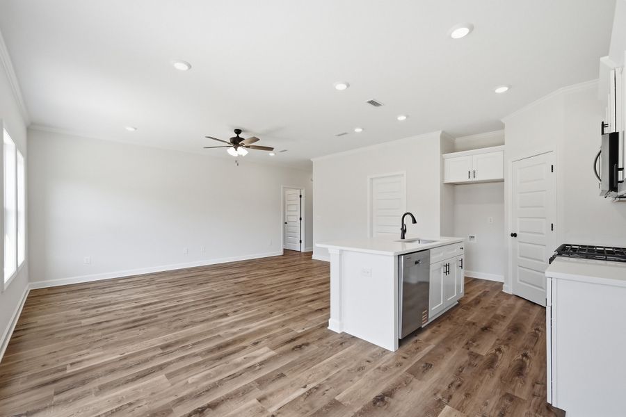 Spacious, unfurnished interior of a new home in McCarthy Estates, Defuniak Springs (Image 27). Spacious, unfurnished interior of a new home in McCarthy Estates, Defuniak Springs (Image 27).