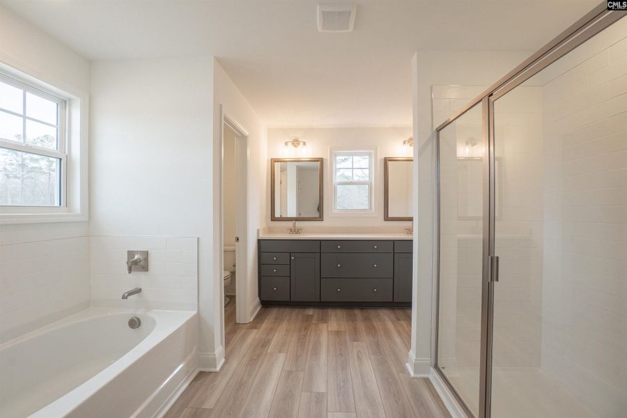 Furnished interior view inside a new home in Beach Forest, Sumter (Image 11). Furnished interior view inside a new home in Beach Forest, Sumter (Image 11).