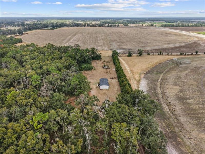 Site preparation for new homesites in , Bell (Image 17).