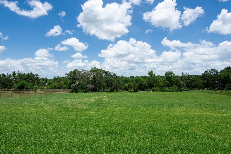 Expansive, property bordered by trees and open space ideal for enjoying outdoor activities. Expansive, property bordered by trees and open space ideal for enjoying outdoor activities.