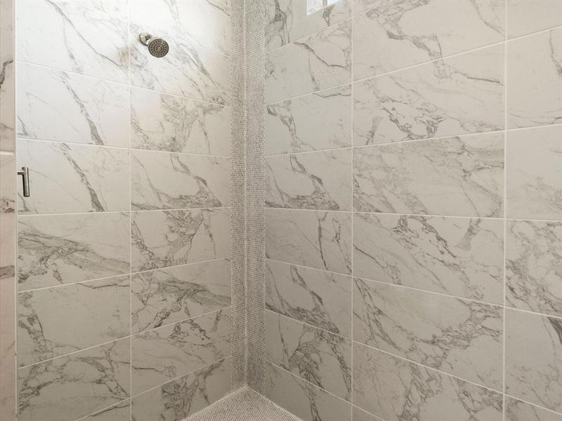 Detail picture of left side of Primary' shower Detail picture of left side of Primary' shower