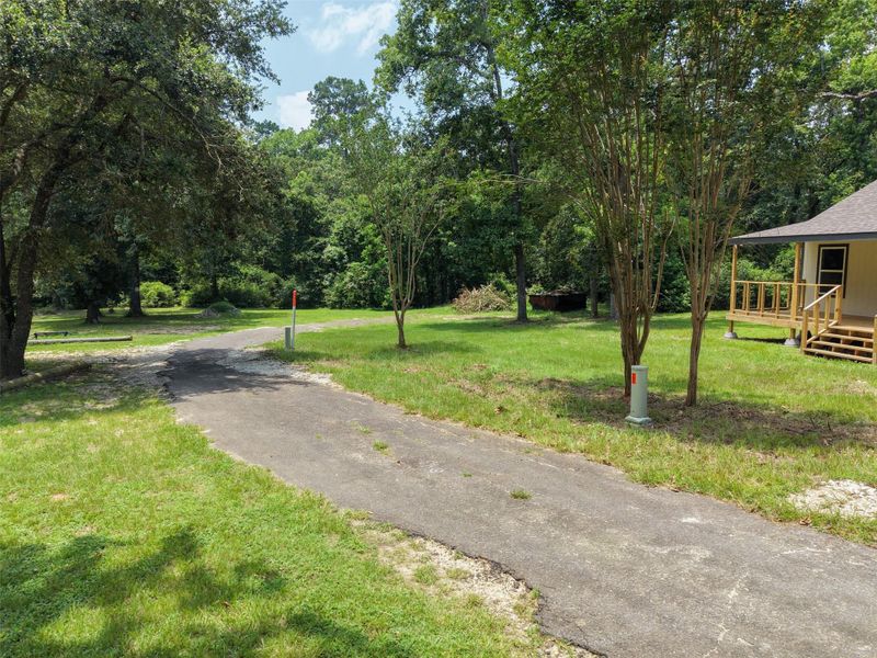 Natural landscape and outdoor views near  in Trinity (Image 20).