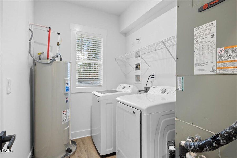 22-929 Jasmine - Open Peek Media-22