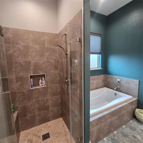 VIEW 2 OF MASTER BATH TUB AND SHOWER VIEW 2 OF MASTER BATH TUB AND SHOWER