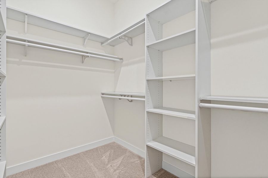 Walk-in closet with carpet flooring, white painted walls, and built-in shelving units Walk-in closet with carpet flooring, white painted walls, and built-in shelving units