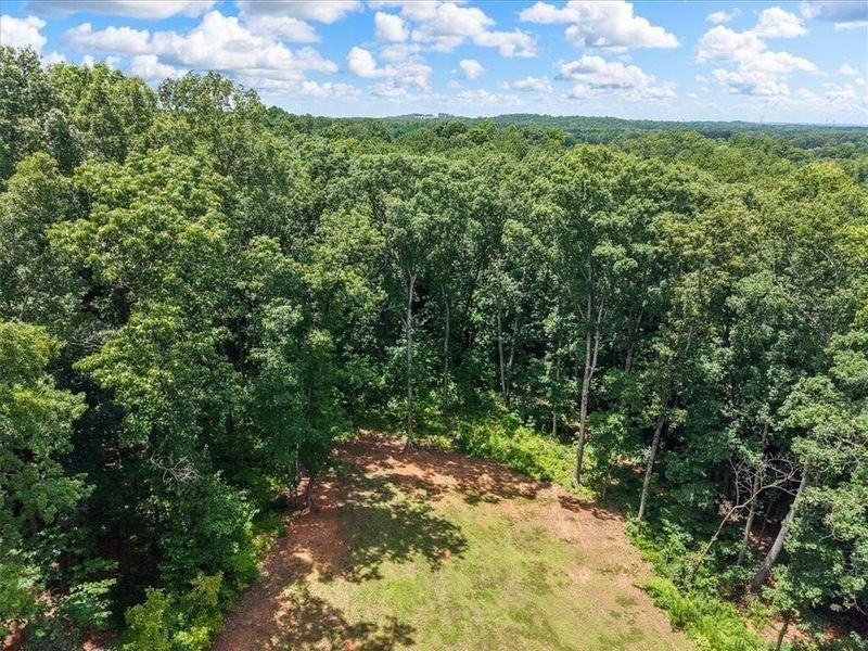 Natural landscape and outdoor views near  in Acworth (Image 82).