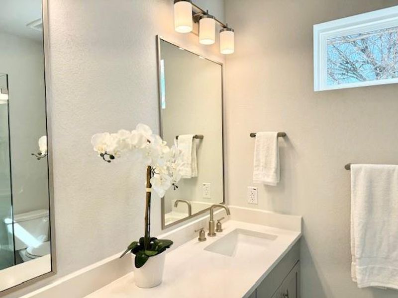 Owner's Bathroom