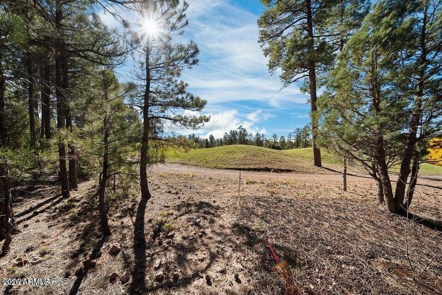 20251110205707188875000000-o 20251110205707188875000000-o