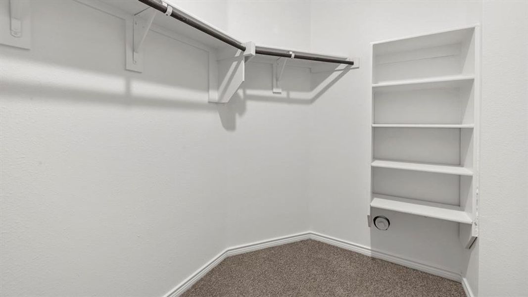 Walk in closet with carpet
