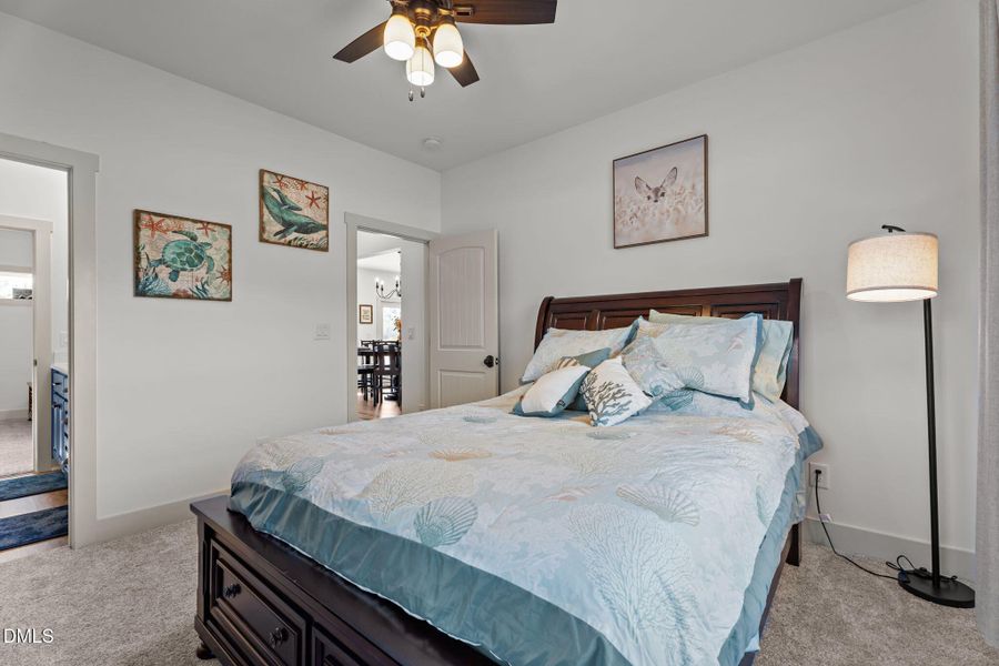 69-web-or-mls-DSC06598