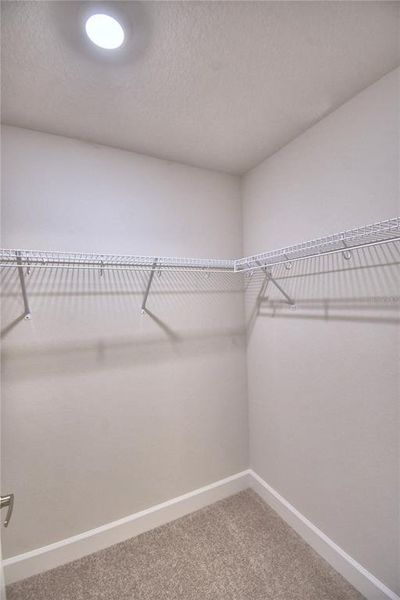 Spacious, unfurnished interior of a new home in , Auburndale (Image 54).