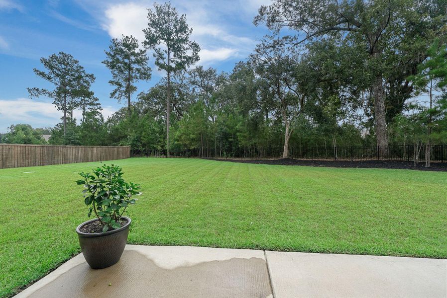 Natural landscape and outdoor views near Sea Island Preserve in Johns Island (Image 66).