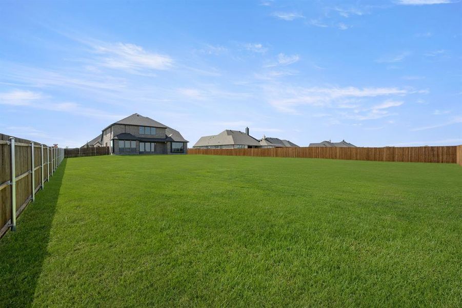 116 Grey wolf- Back-2293 116 Grey wolf- Back-2293