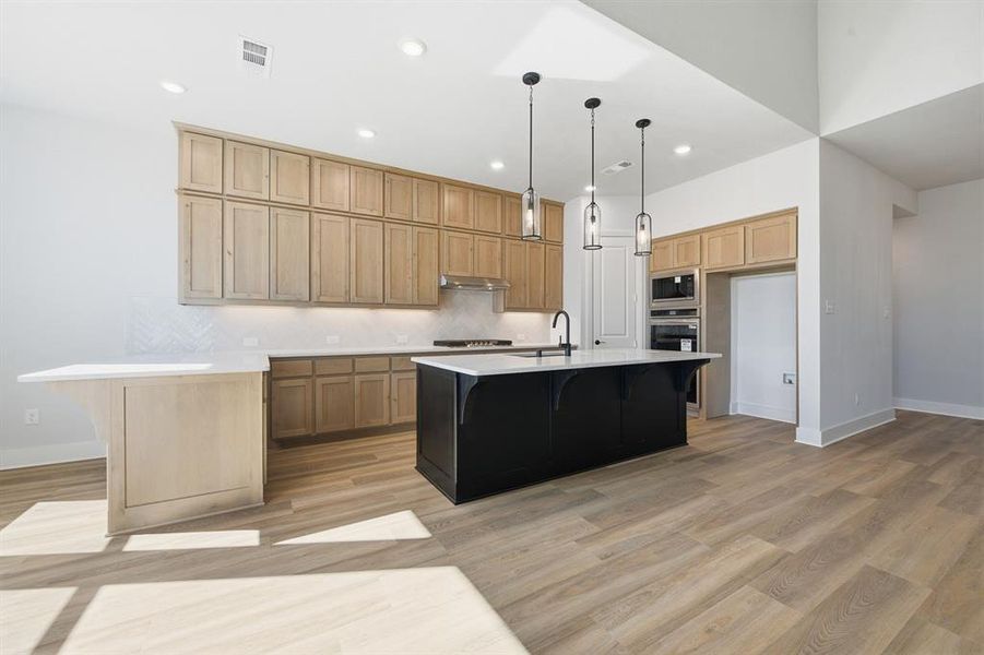 Furnished interior view inside a new home in Wildridge, Oak Point (Image 7).
