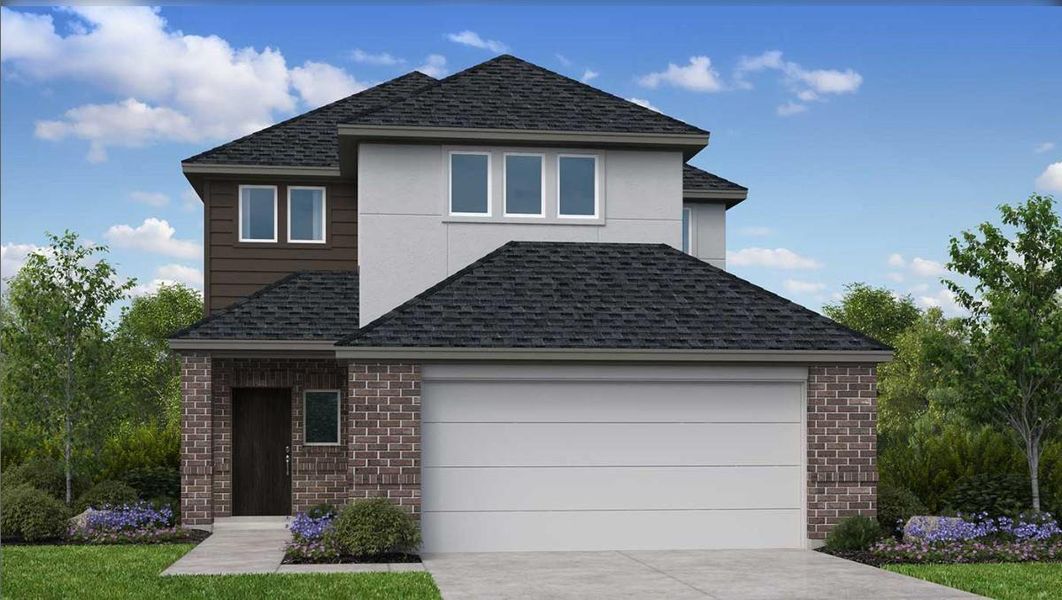 Paisley Rendering Paisley Rendering