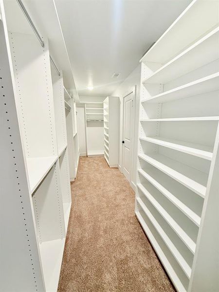 Spacious closet featuring light carpet Spacious closet featuring light carpet