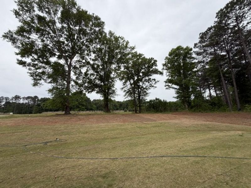 Natural landscape and outdoor views near Oakview in Pine Mountain (Image 20).