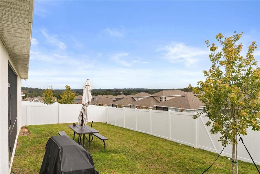 Exterior details and patio area of a home in Hills of Minneola, Minneola (Image 3).