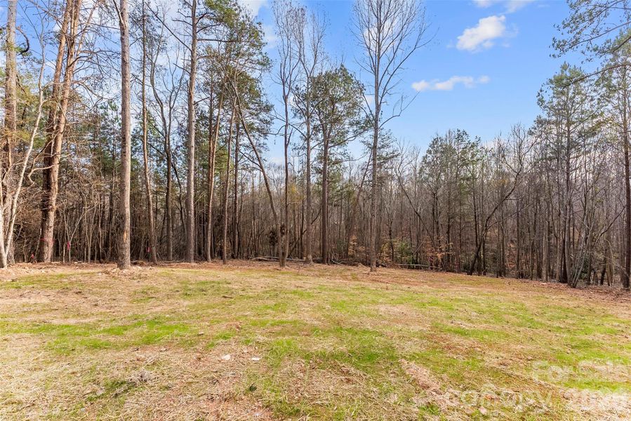 Natural landscape and outdoor views near  in Shelby (Image 45).