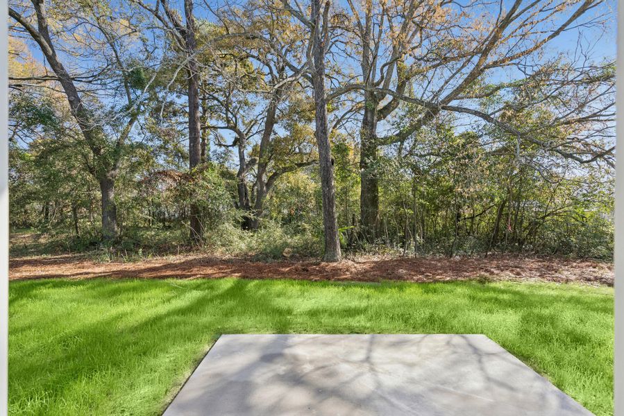 Natural landscape and outdoor views near Discover - Select in North Charleston (Image 22).