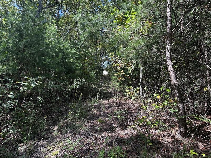 Natural landscape and outdoor views near  in Jasper (Image 17).