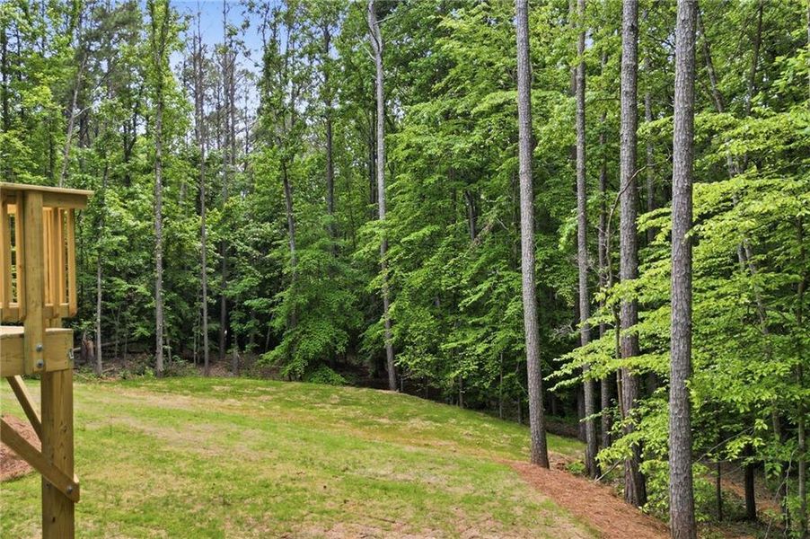 Natural landscape and outdoor views near in Holly Springs (Image 59). Natural landscape and outdoor views near in Holly Springs (Image 59).