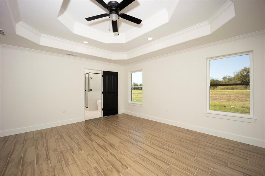 Spare room with a raised ceiling, wood tiled floors, ornamental molding, and a ceiling fan
