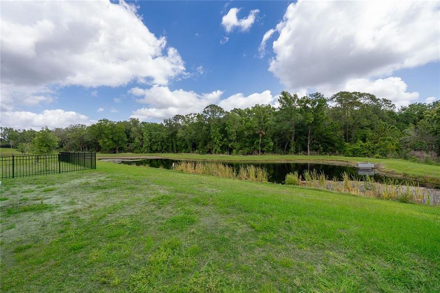 Natural landscape and outdoor views near  in Davenport (Image 32).
