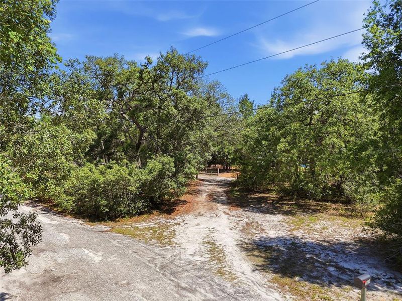 Natural landscape and outdoor views near  in Hudson (Image 40).
