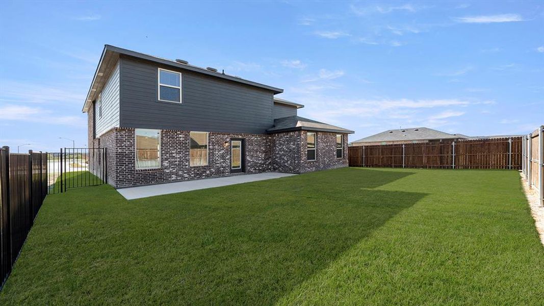 27. 10904 Cacao - Back (2)