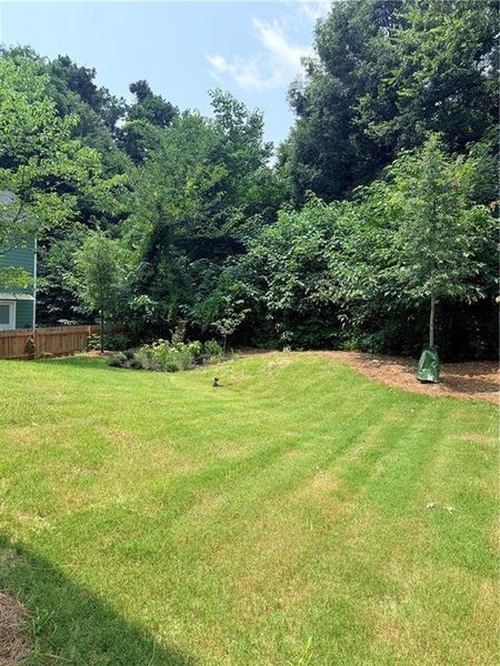 Natural landscape and outdoor views near  in Atlanta (Image 32).