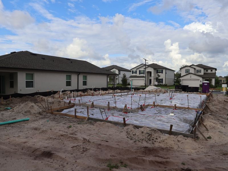 Homesite