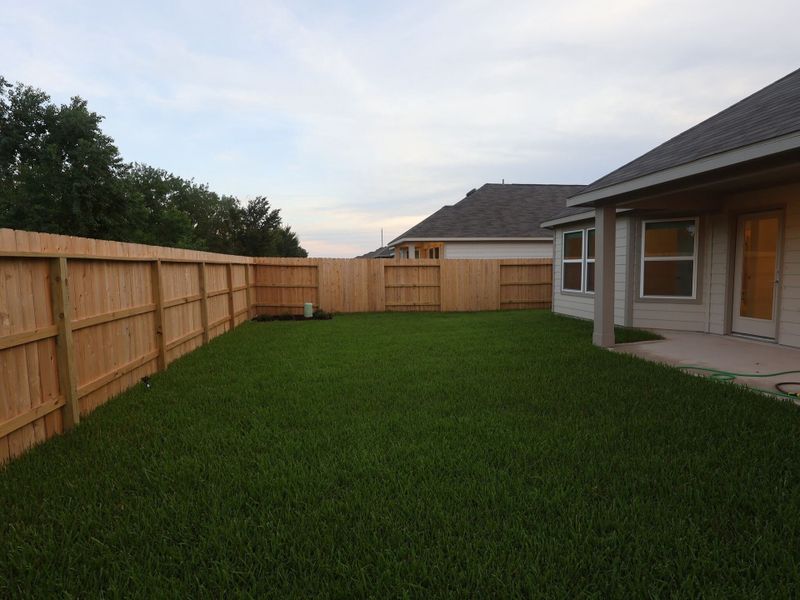 Backyard