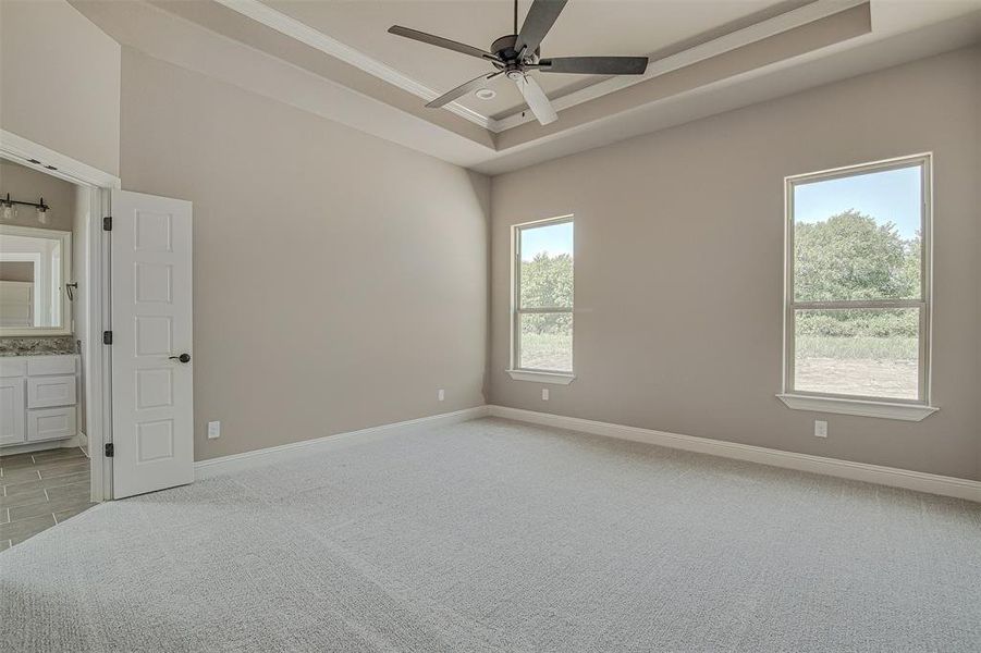 Carpeted spare room with a raised ceiling and ceiling fan