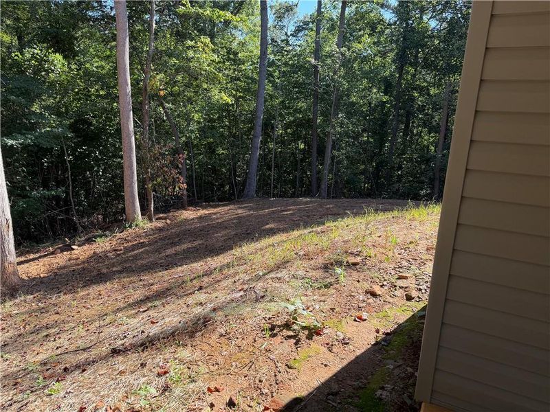 Natural landscape and outdoor views near  in Ellijay (Image 4).