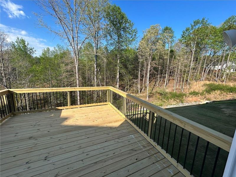Exterior details and patio area of a home in The Reserve At Liberty Park, Braselton (Image 2).
