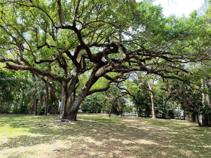 Natural landscape and outdoor views near  in Miami (Image 18).