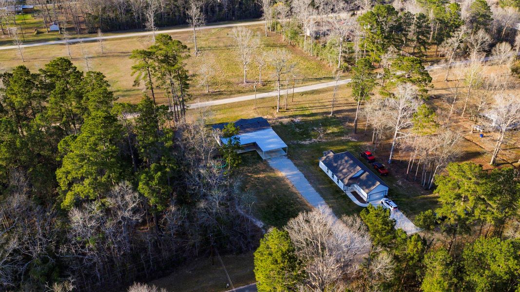 Natural landscape and outdoor views near  in Livingston (Image 26).