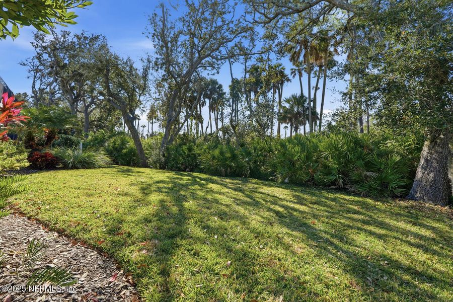 Natural landscape and outdoor views near  in Palm Coast (Image 88).