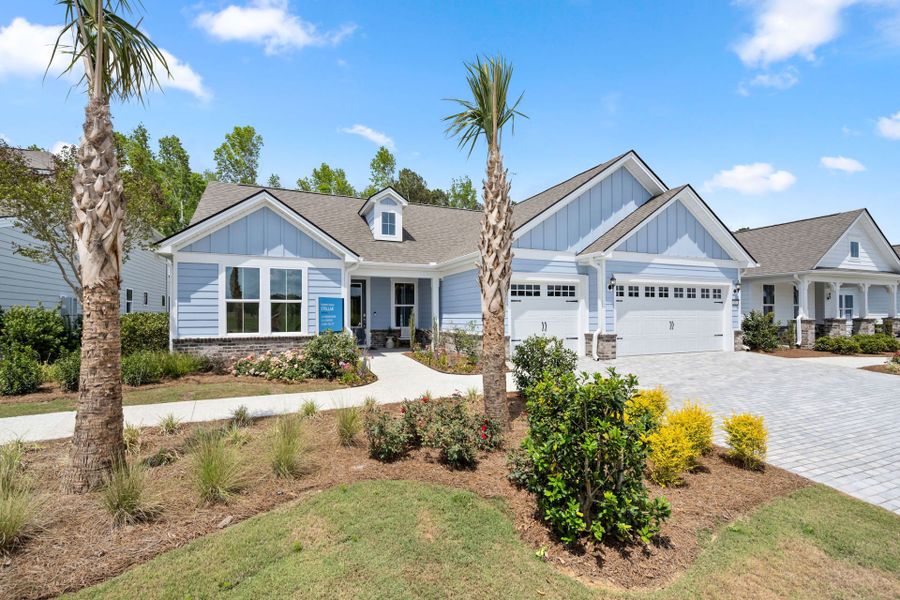 Welcome to the Stellar!