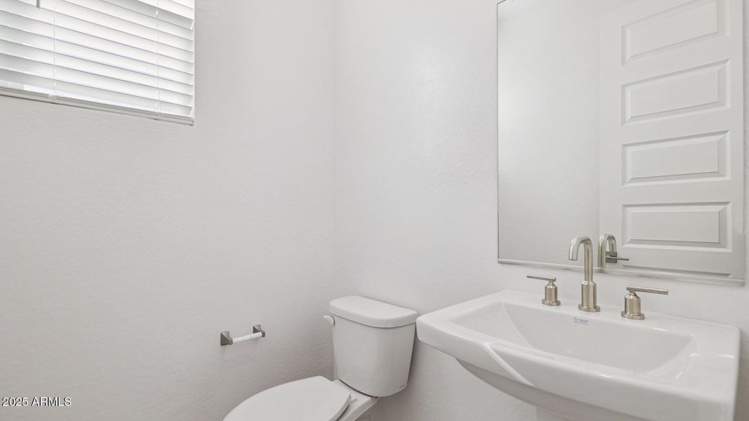 3985_Phoenician_Lot 2081_Aloravita_Peori 3985_Phoenician_Lot 2081_Aloravita_Peori